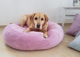 Rundes Hundesofa mauve L