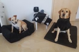 Hundehalstuch &quot;Black &amp; White&quot; M