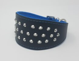 Windhund Halsband blau