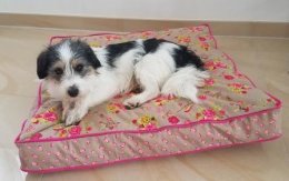 Hundekissen Bl&uuml;mchen Pink Gr&ouml;&szlig;e S