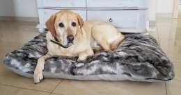 Hundekissen L Fellimitat dreifarbig