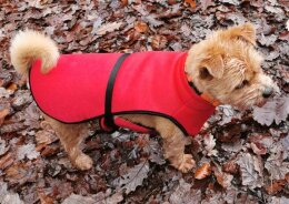 Hundemantel Soft Shell rot XS