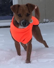 Hundemantel neon orange Fleece S