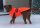 Hundemantel neon orange Fleece S