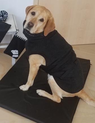 Hunde Bademantel schwarz Frottee L