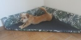 Hundebett Dreieck Palmen Eckbett S