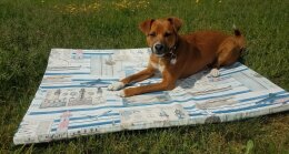 Hundematte Maritim Outdoor L