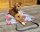 Hunde Reisematte mit Tragegriff US Schilder Motiv Vintage