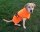Hundemantel Fleece neon orange L