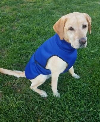 Hundemantel Softshell blau  L